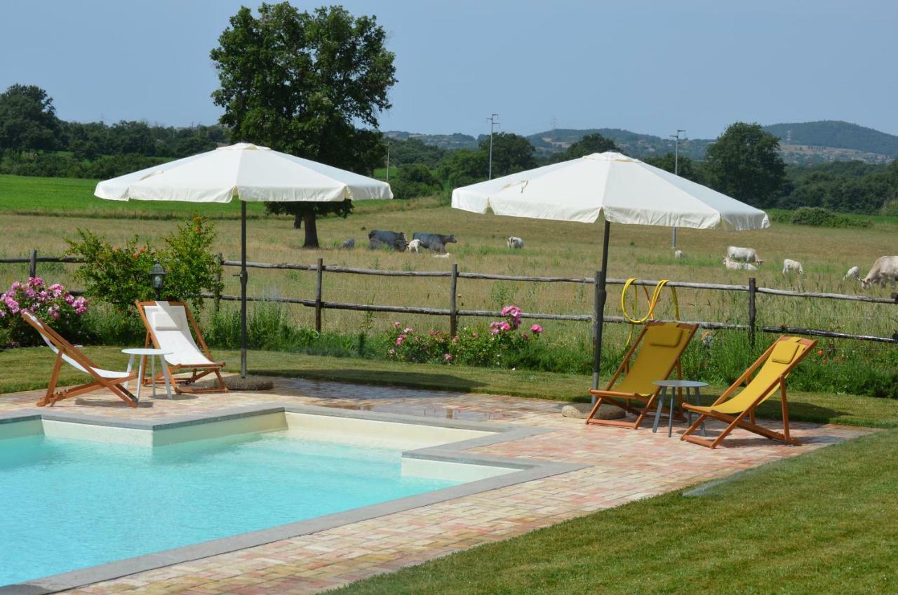 Agriturismo La Ghiga Nepi Extérieur photo
